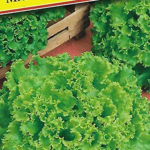 Салат Марадон 10 шт Семена Престиж 23₽