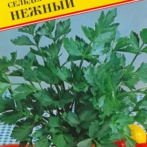 Сельдерей листовой Нежный 0,3 г, Семена Престиж