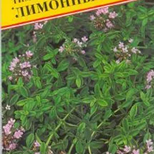 

Тимьян Лимонный 0,1 г, Семена Престиж