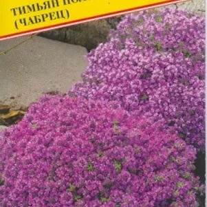 

Тимьян ползучий 0,05 г, Семена Престиж
