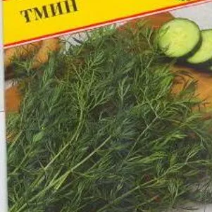 

Тмин 0,5 г, Семена Престиж