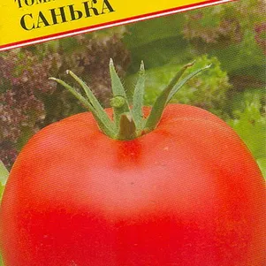 Томат Санька 10 шт Семена Престиж 26₽