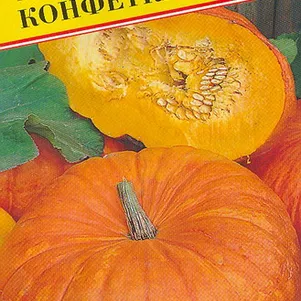 Тыква Конфетка 5 шт Семена Престиж 37₽
