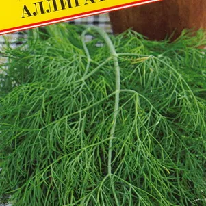 Укроп Аллигатор 1 г Семена Престиж 22₽