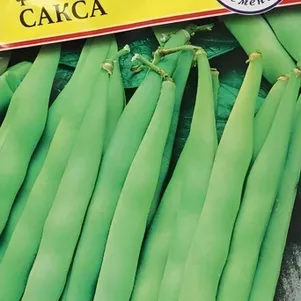 Фасоль Сакса без волокна 615 5 г Семена Престиж 30₽