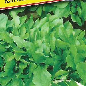 Шпинат Клиппер F1 1 г Семена Престиж 24₽