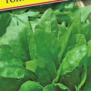 Шпинат Тонус F1 1 г Семена Престиж 21₽