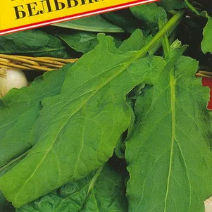 Щавель Бельвильский 1 г Семена Престиж 25₽