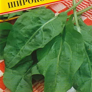 Щавель Широколистный 1 г Семена Престиж 25₽