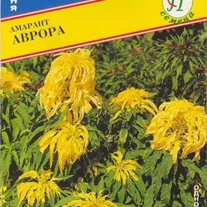 

Амарант Аврора 25 шт, Семена Престиж