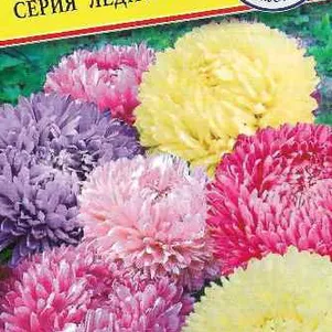 

Астра Леди Корал Смесь всех цветов 0,1 г, Семена Престиж