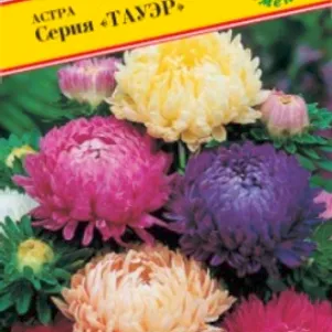 

Астра Тауэр Смесь всех цветов 0,3 г, Семена Престиж