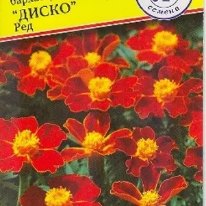 

Бархатцы Диско Ред отклоненные 5 шт, Семена Престиж