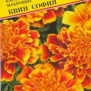 Бархатцы Квин София 20 шт, Семена Престиж