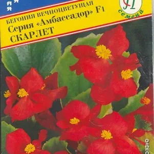 

Бегония Скарлет F1 (серия Амбассадор) 15 др, Семена Престиж
