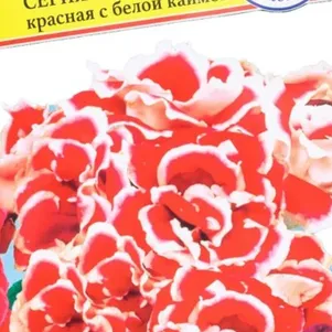 

Глоксиния Красная с каймой F1 (Брокэйд) 10 др, Семена Престиж