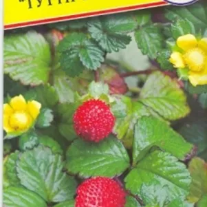 

Дюшинея (ложная земляника) Тутти-Фрутти 0,1 г, Семена Престиж
