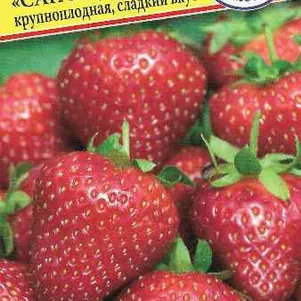 Земляника Сан Андреасс ремонтантная 001 г Семена Престиж 43₽