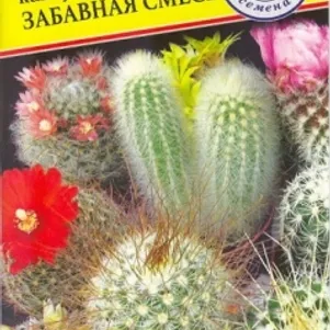 Кактусы Забавная смесь 0,05 г, Семена Престиж