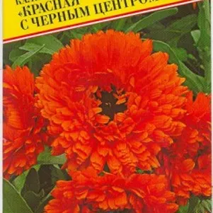 Календула Красная с черным центром 0,3 г, Семена Престиж
