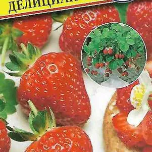 Клубника Делициан F1 крупноплодная 5 шт Семена Престиж 161₽
