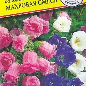 

Колокольчик Махровая смесь средний 0,1 г, Семена Престиж