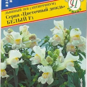 Львиный зев Белый F1 (серия Цветочный дождь) 15 шт, Семена Престиж