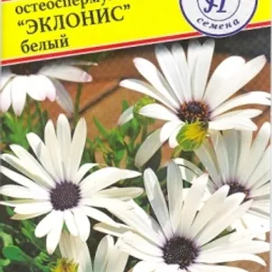 Остеоспермум Эклонис белый 0,05 г, Семена Престиж