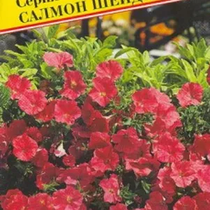Петуния Вельвет Салмон Шейдс F1 ампельная 5 др Семена Престиж 84₽