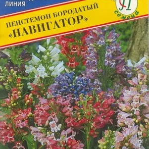 Петуния Пурпурная звезда F1 ампельная серия Лавина 10 др Семена Престиж 43₽