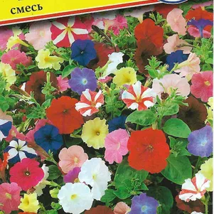 Петуния Смесь F1 грандифлора (серия Тритуния) 10 др, Семена Престиж
