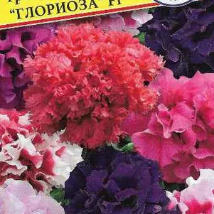 

Петуния Глориоза Смесь F1 5 др, Семена Престиж
