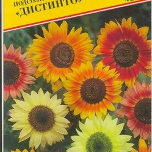 Подсолнечник Дистинто однолетний 10 шт Семена Престиж 33₽