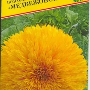 Подсолнечник Медвежонок однолетний 10 шт Семена Престиж 17₽