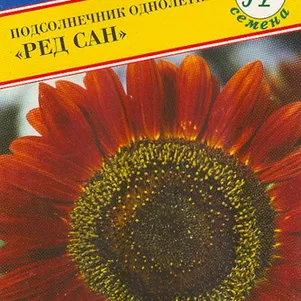 Подсолнечник Ред Сан однолетний 7 шт Семена Престиж 30₽
