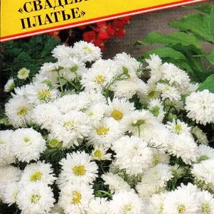 

Хризантема Свадебное платье 10 шт, Семена Престиж