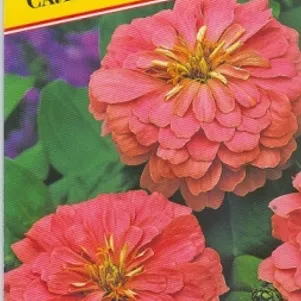 Цинния Салмон Квин 10 шт, Семена Престиж