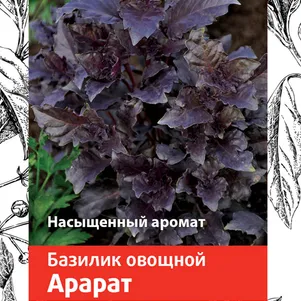Базилик Арарат А овощной 025 Семена Поиск 49₽