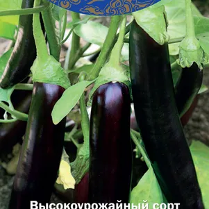 Баклажан Меч Самурая 025 г Семена Поиск 69₽