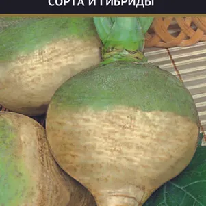 Брюква Новгородская 0,5 г, Семена Поиск