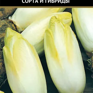Витлуф Ракета 05 г Семена Поиск 50₽