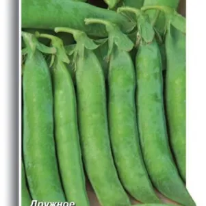 Горох Адагумский овощной 10 г Семена Поиск 49₽