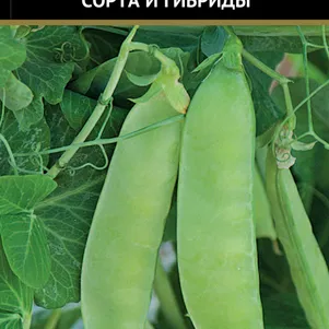 Горох Эверест овощной 10 г Семена Поиск 52₽