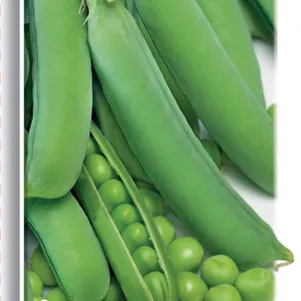 Горох Юрга овощной 10 г Семена Поиск 49₽