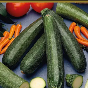 Кабачок Деликатес 12 шт Семена Поиск 62₽