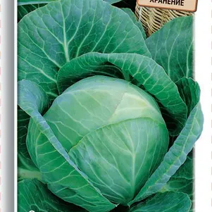 

Капуста Белорусская 455 белокочанная 0,5 г, Семена Поиск