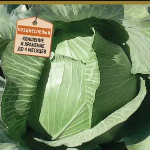 Капуста Бомонд Агро F1 белокочанная 02 г Семена Поиск 49₽