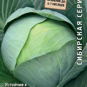 Капуста Вьюга белокочанная ц/п 0,5 г, Семена Поиск