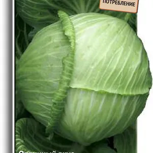 

Капуста Золотой гектар 1432 белокочанная 0,5 г, Семена Поиск