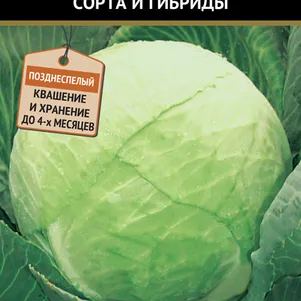Капуста Лидер белокочанная 0,5 г, Семена Поиск